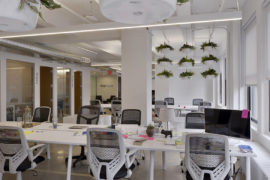 Muse---Work-Station-2